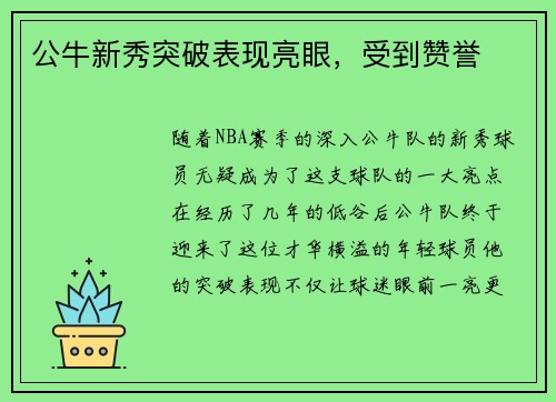 公牛新秀突破表现亮眼，受到赞誉