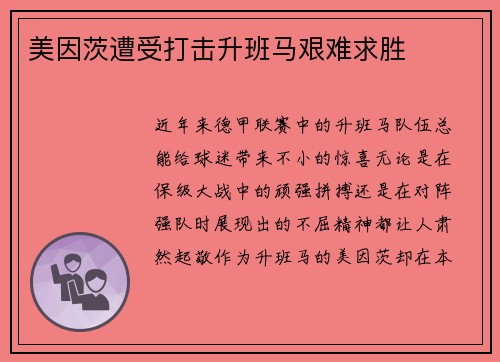 美因茨遭受打击升班马艰难求胜